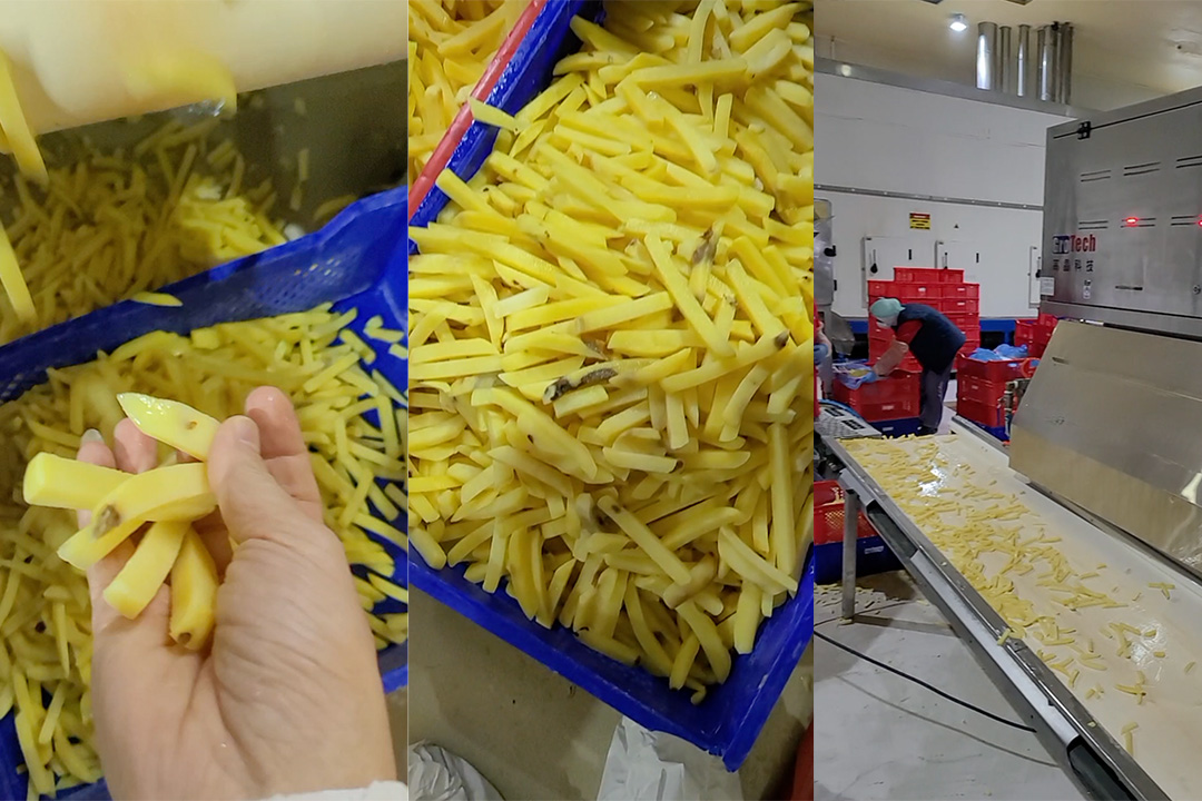 potato chip sorting machine