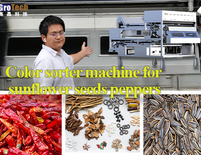 Color sorter machine for sunflower seeds, by Deep Learning，AI recognize